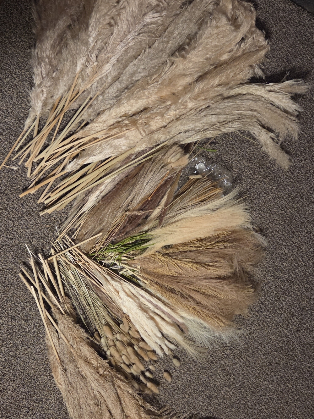 Natural Pampas Grass and Dried Floral Bouquet - Neutral Beige